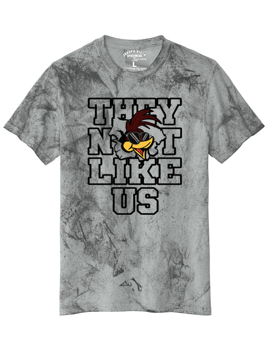 They Not Like Us color blast T-shirt (Adult/Youth)
